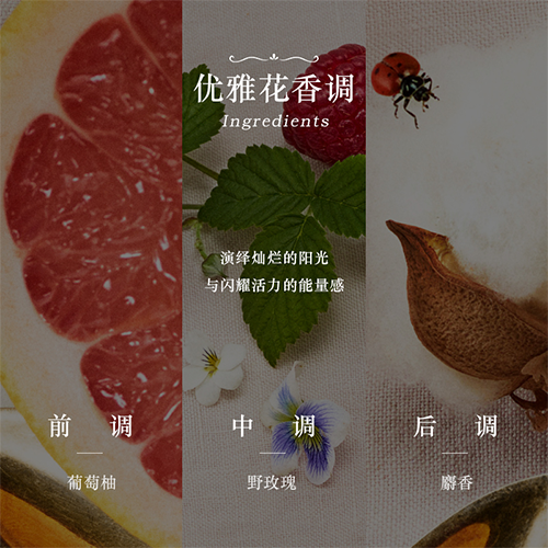 主图